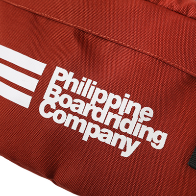 PBC Stripe Belt Bag in Brown